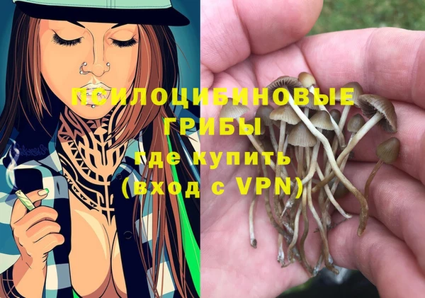 хмурый Елабуга