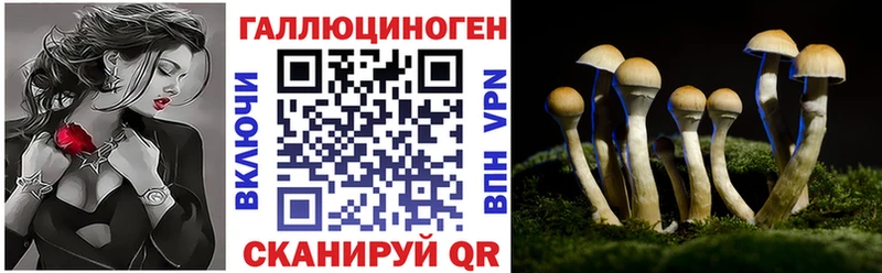 Псилоцибиновые грибы Cubensis  Купить закладки  Городище 